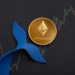 Ethereum's biggest whales are hoarding these coins, see which0 (0)