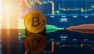 Bitcoin (BTC) recovers and pulls market; Dogecoin (DOGE) drops with end of Elon Musk effect0 (0)
