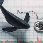 Bitcoin Whale withdraws half a billion dollars in BTC from Coinbase, positive sign?0 (0)