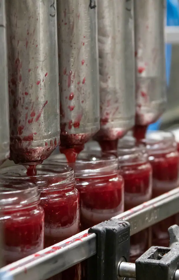 Lingonberry jam is filled into glass jars.