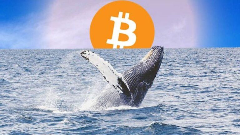 BTC Whale Movements Spark Speculation Amid a Volatile Market0 (0)