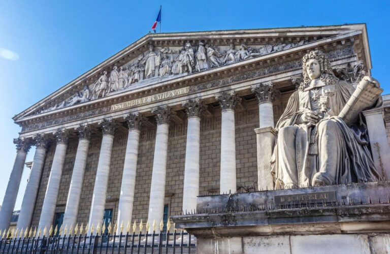 Street behavior in the French parliament0 (0)