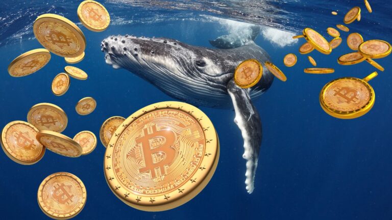 A Satoshi-era Bitcoin whale has woken up0 (0)