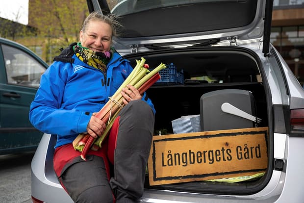 Farmer Stina Dahlquist from Långberget's farm sells locally produced goods via a counter at Stortorget in Östersund.